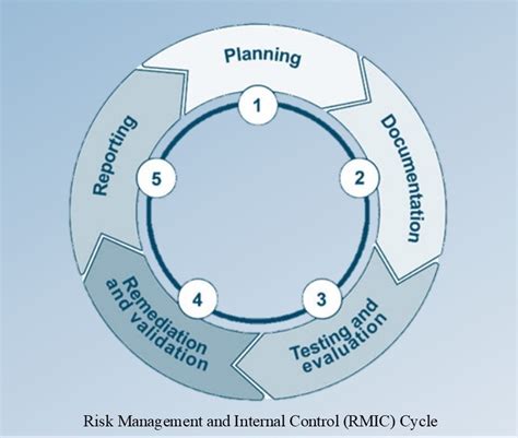 Image result for Risk Management Internal Control Program DoD