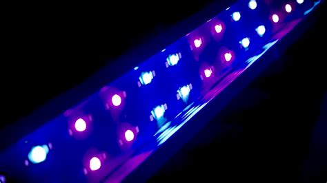 Image result for Spectral Blue Color