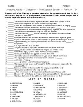 Image result for Digestive System Matching Activity Worksheet
