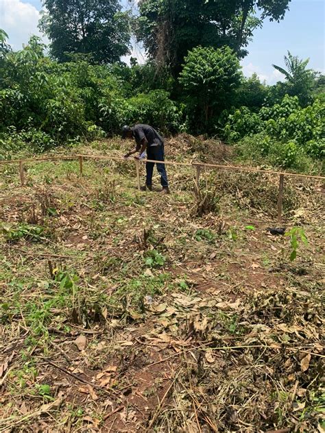 Building Setting Out Step by Step-साठीचा प्रतिमा निकाल