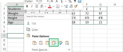 Toradh íomhá ar Paste Horizontal Excel