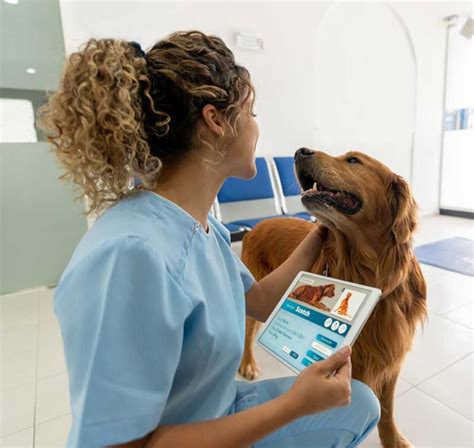 Image result for Vet Assistant Salary