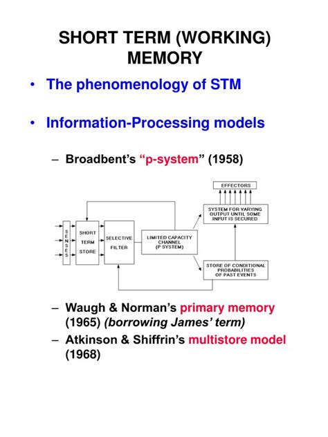 Image result for Short-Term Memory