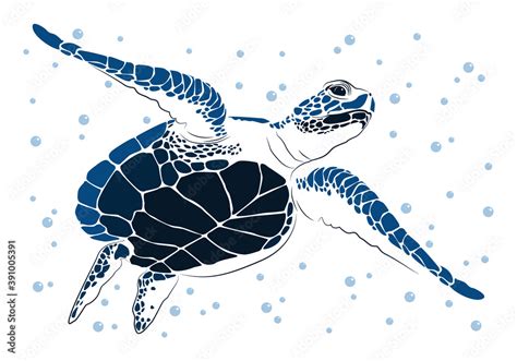 Image result for Vector Graphics Sea Turtle