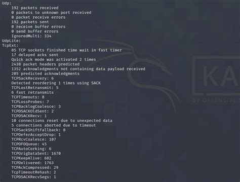 Image result for Netstat IP