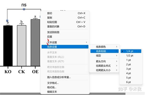 Toradh íomhá ar GraphPad Primsm