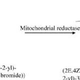 Image result for MTT Assay Full Form