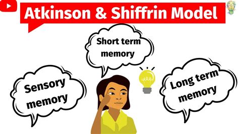Image result for Memory Store Atkinson-Shiffrin