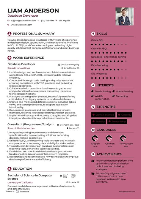 Database Developer CV Template に対する画像結果