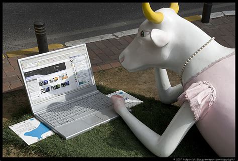 Image result for Computer Analysis Cow