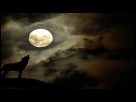 Image result for Wolves Howling Audio