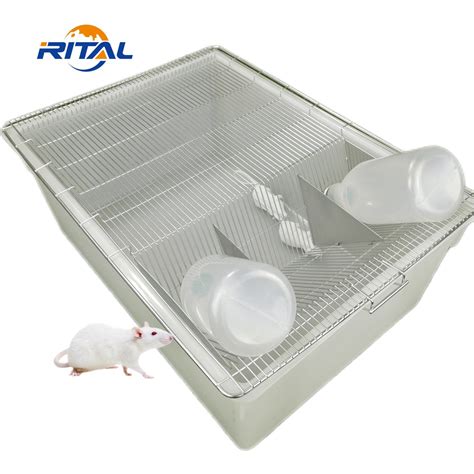 Image result for Feeding Lab Mouse