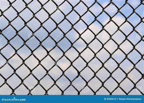 Metal-Frame Net に対する画像結果