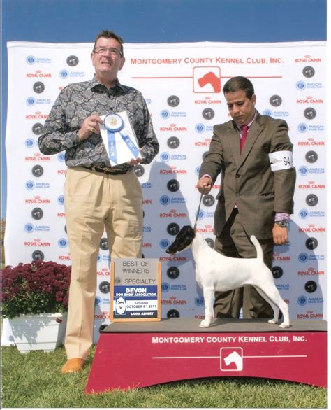 Image result for Commodore 64 Joystick