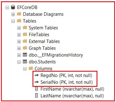 Image result for Primary Key Entity Framework