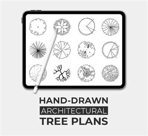 Image result for TreePlan Abstract