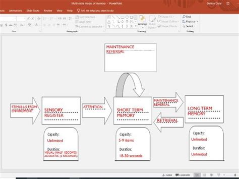 Toradh íomhá ar Multi-Store Model of Memory AQA