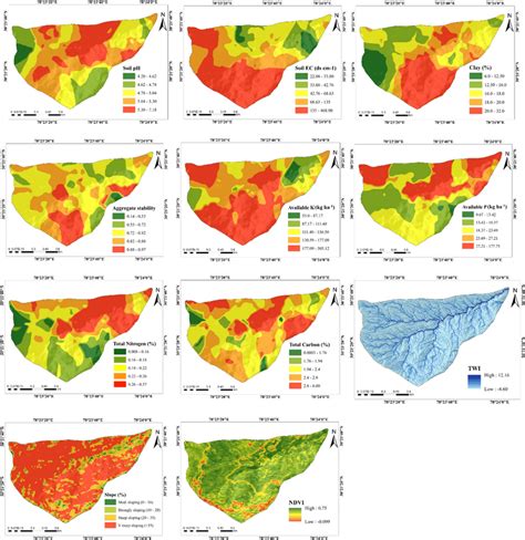 Image result for Types of Spatial Distribution Maps
