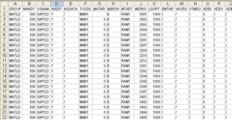 Toradh íomhá ar LSMW Direct Input Sample Data