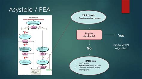 ACLS Asystole Algorithm に対する画像結果