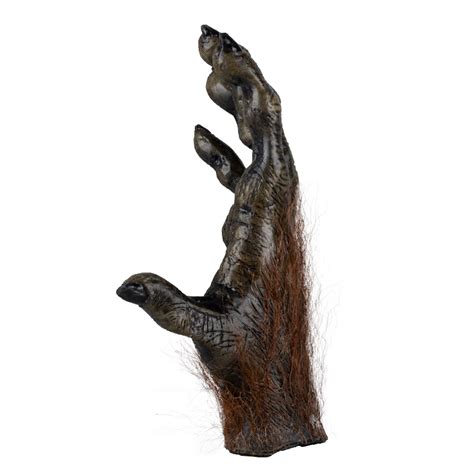 Image result for Monkey Hand Shadow