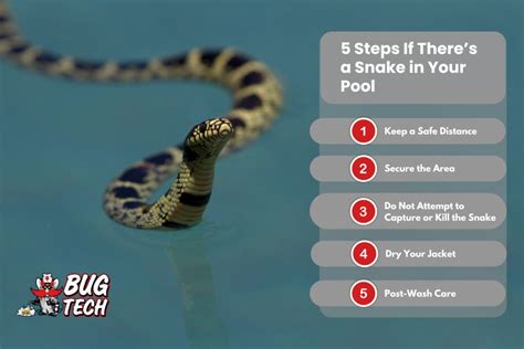 Image result for Snake Challenge in a Pool