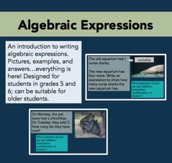 Image result for Introduction to Algebraic Expressions