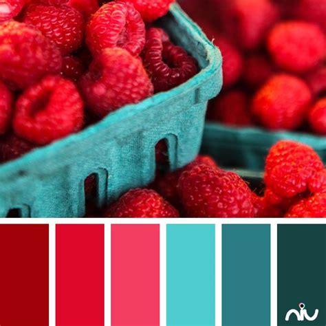 Image result for Raspberry Color Palette