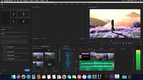 Image result for Premiere Pro Crack Pour Mac