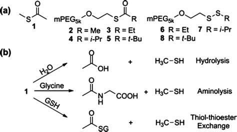 Image result for Thioester Hydrolysis Complement Cascade