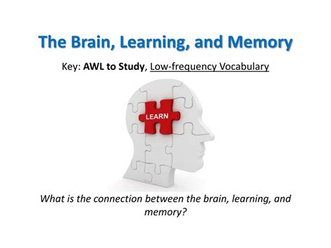 Image result for Memory and Learning PPT