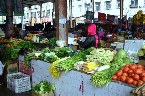 Image result for Market Study Template