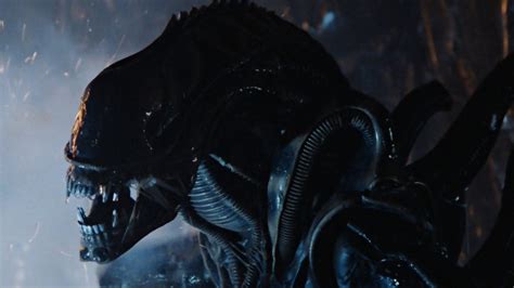Image result for Alien Covenant Pale Xenomorph