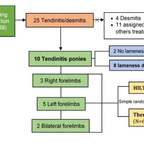 Image result for Randomization Simple