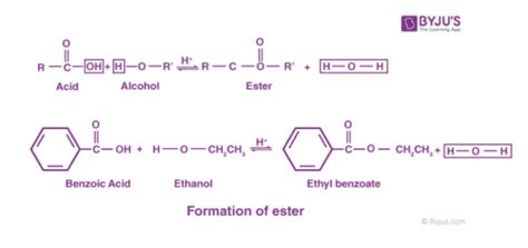 Image result for Ester Compound Examples