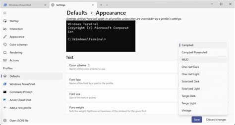 Image result for Terminal Color Path Custom