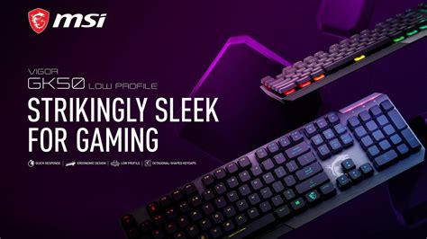 Image result for MSI Theme Windows 11