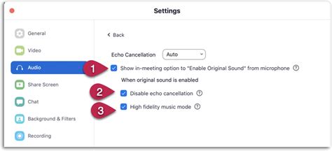 Image result for Zoom Audio Settings