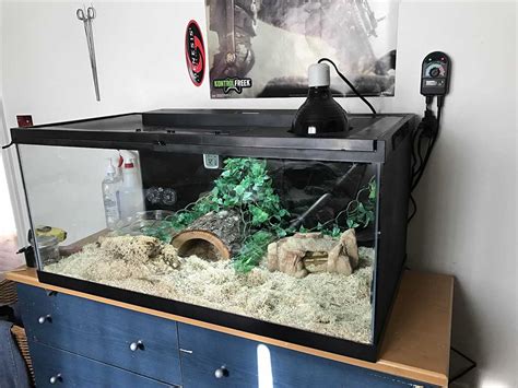 How Many Gallon Tank for Ball Python に対する画像結果