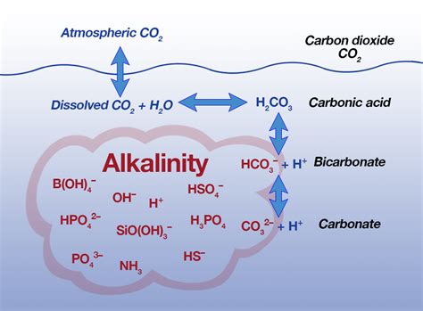 Toradh íomhá ar Acidity and Alkalinity