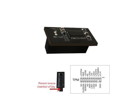 Image result for Asus TPM LR2 0 Module