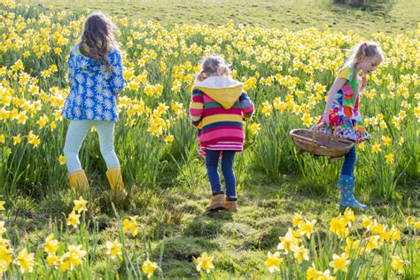 Image result for What Is Spring for Kids