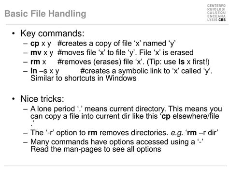 Basic File Handling に対する画像結果