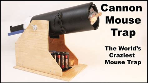 Cool Mouse Traps に対する画像結果