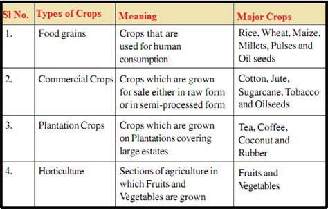 Image result for Different Types of Crops