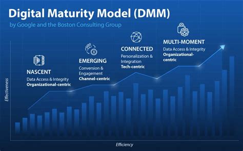 DMM Data Maturity Model に対する画像結果