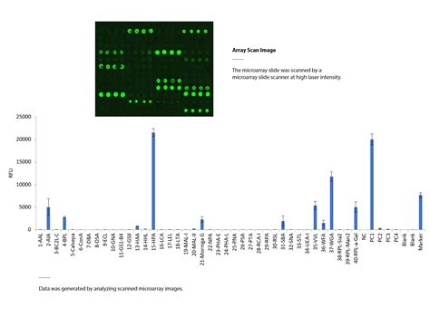 Image result for Cy3 Reaction in Lectin Array