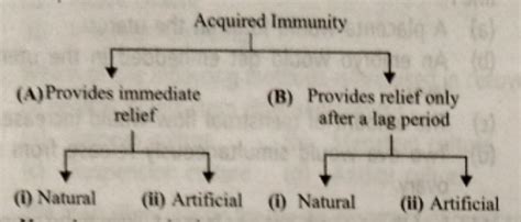 Adaptive Immunity Flow Chart に対する画像結果