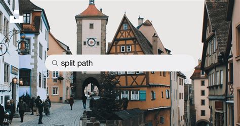 Split-Path Vector に対する画像結果