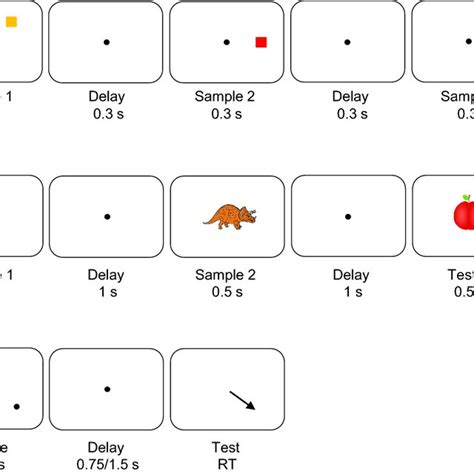 Image result for Working Memory Task